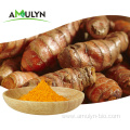 Natural Food Pigment Turmeric Root Extract Powder